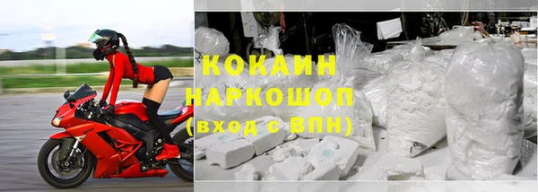 шишки Арсеньев