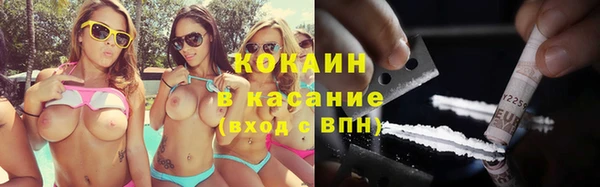 крисы Аркадак