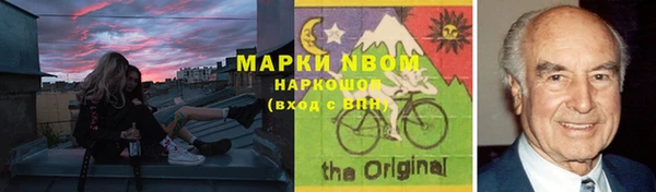 шишки Арсеньев