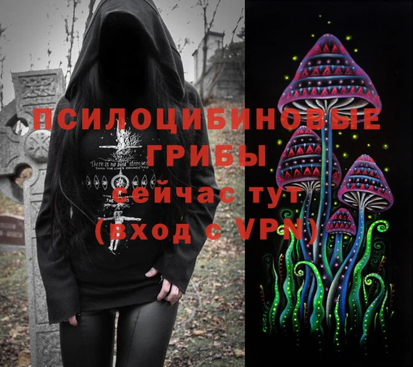 крисы Аркадак