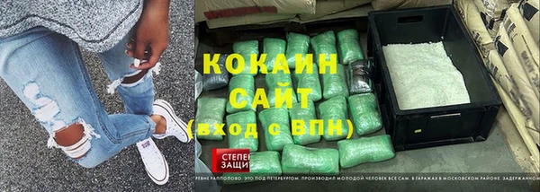 шишки Арсеньев