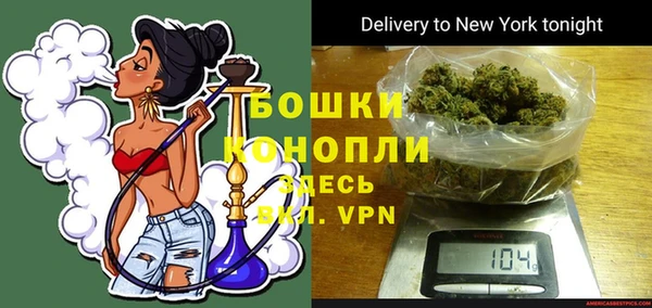 шишки Арсеньев