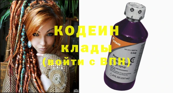 шишки Арсеньев