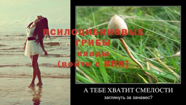 крисы Аркадак