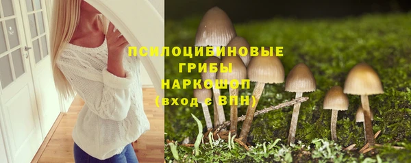 СК Армянск